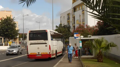 Un autobus bianco fermo a una fermata in una strada di Ponta Delgada fiancheggiata da palme