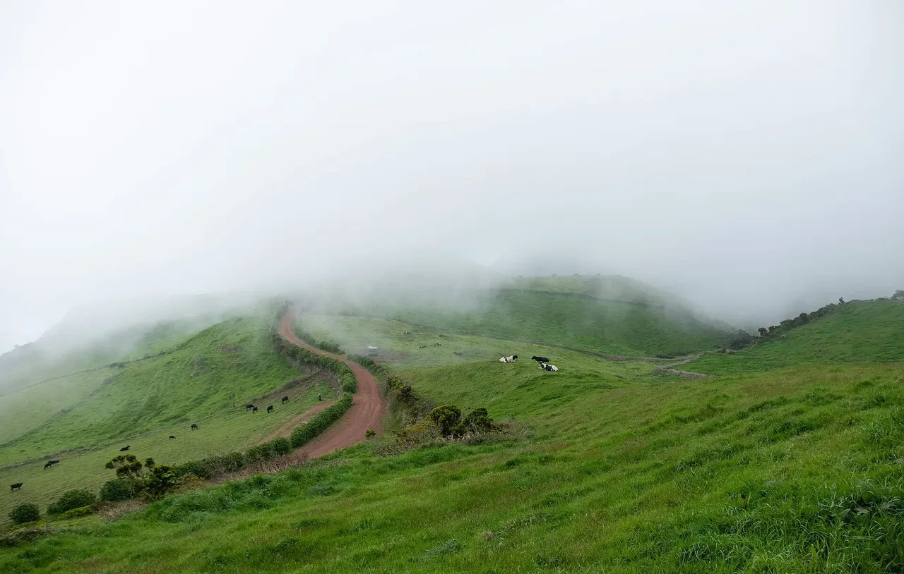 Fog drifting over green hills from the Serra do Topo viewpoint.