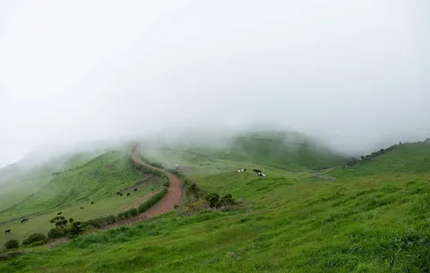 Fog drifting over green hills from the Serra do Topo viewpoint.