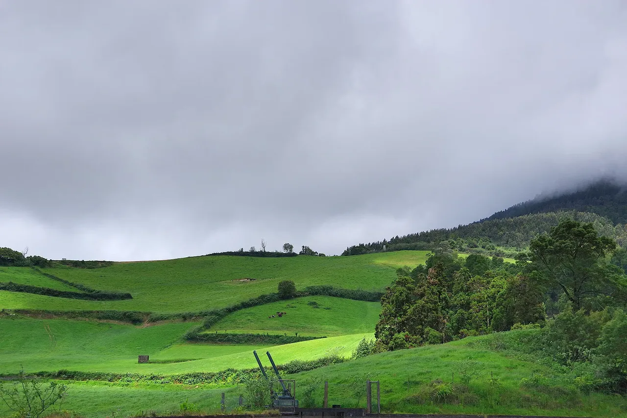 Misty green pastures on the climb toward Lagoa do Fogo.