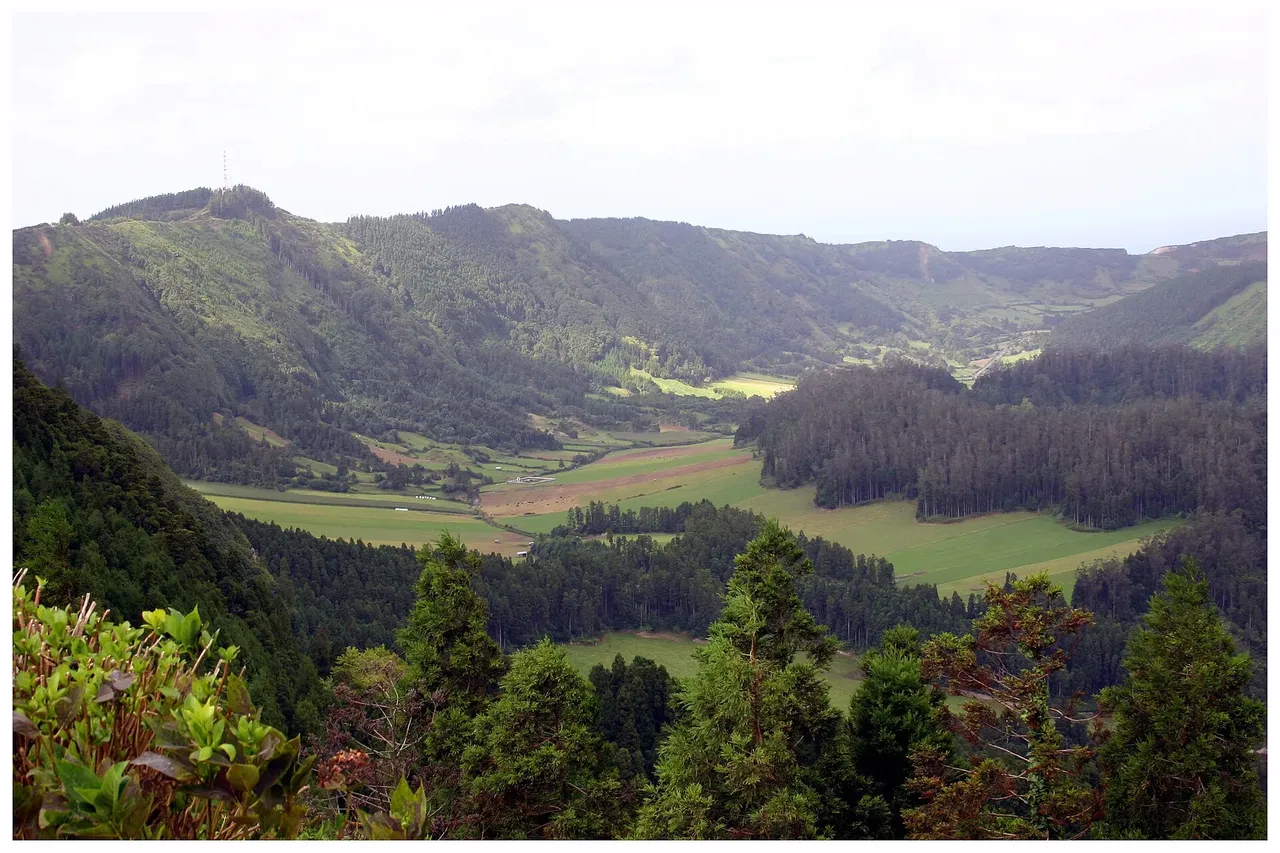 The forested crater valley of Sete Cidades.