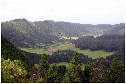 The forested crater valley of Sete Cidades.