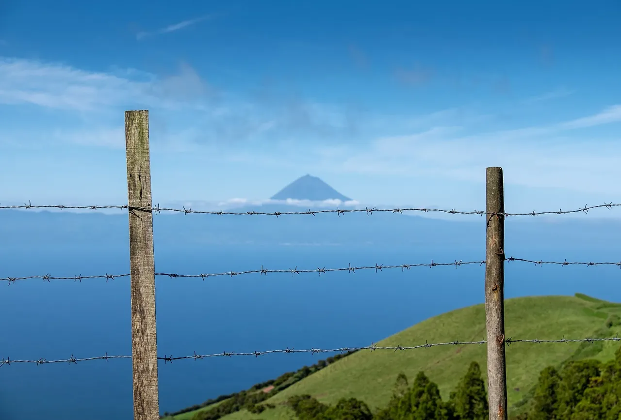 A pasture fence with Pico's volcano rising across the channel.