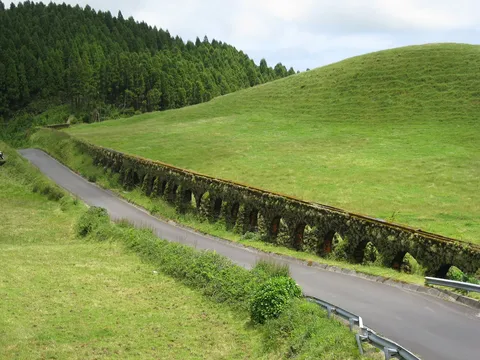 Forest trail skirting the Sete Cidades crater on São Miguel.
