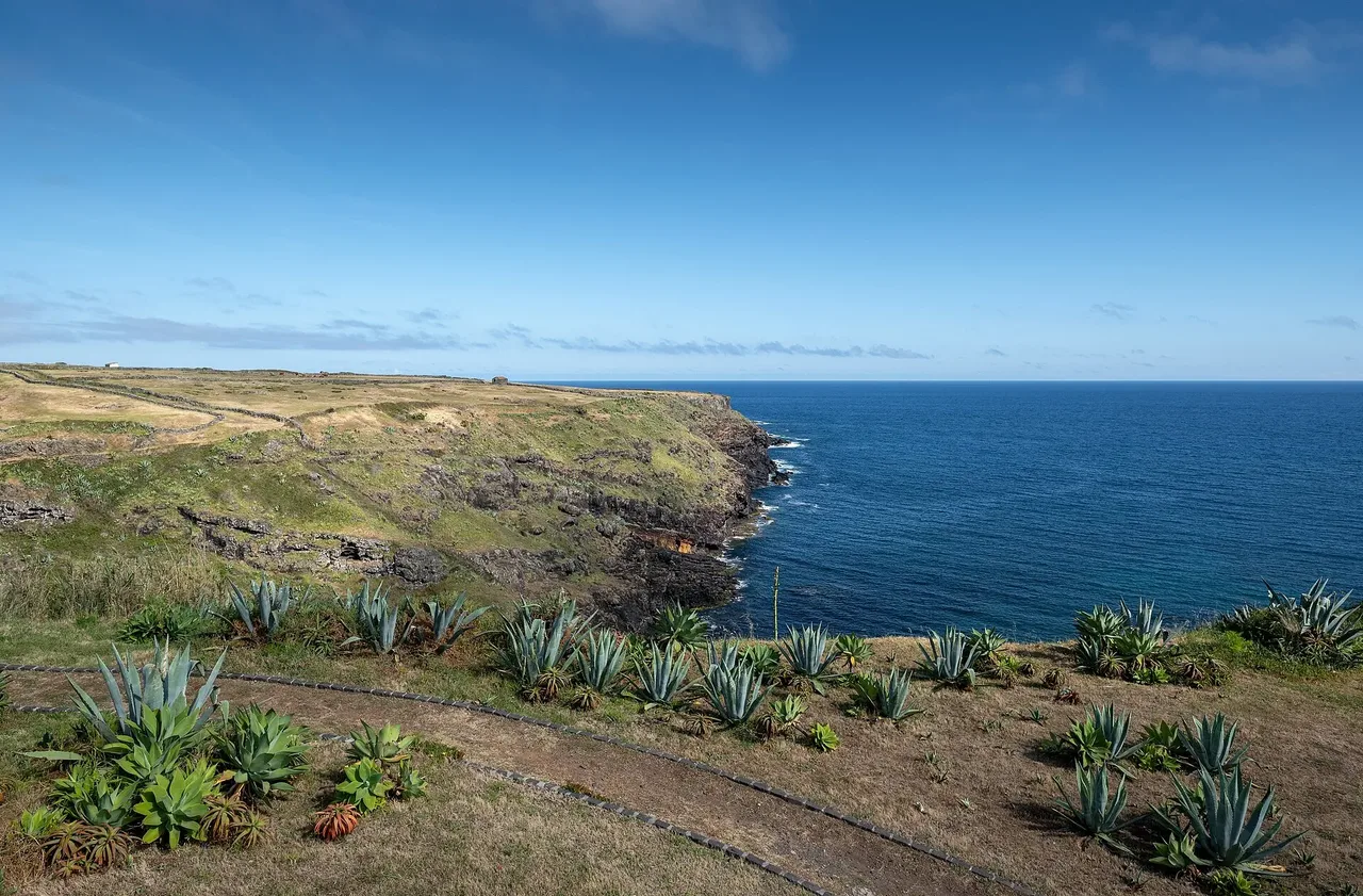 Grazing fields above Santa Maria's south coast.