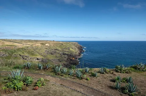 Grazing fields above Santa Maria's south coast.