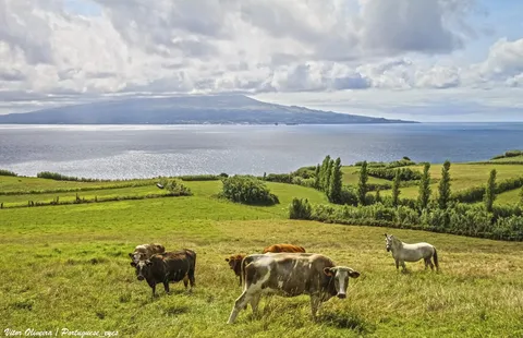 Las islas de Faial y Pico se alzan al otro lado del estrecho, vistas desde la costa.