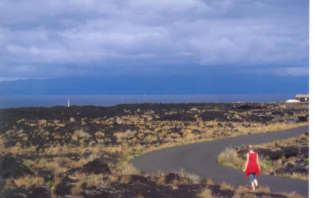 A road crossing Pico's black lava fields.