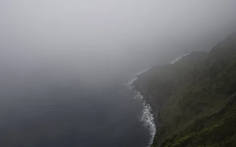 Green coastal scenery on Flores island.