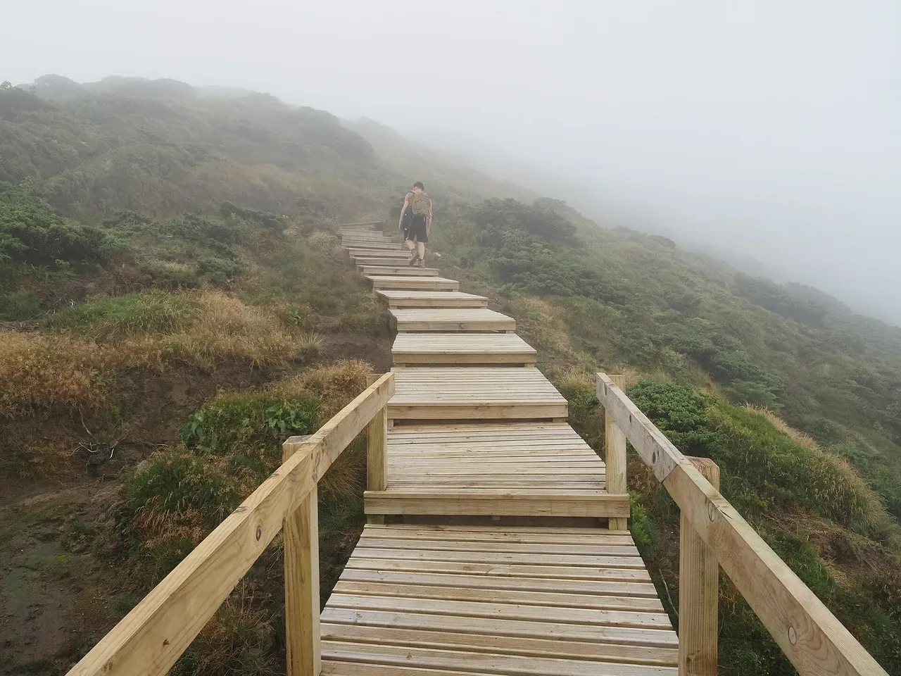 Der Wanderweg zum Pico da Vara, dem höchsten Gipfel von São Miguel.
