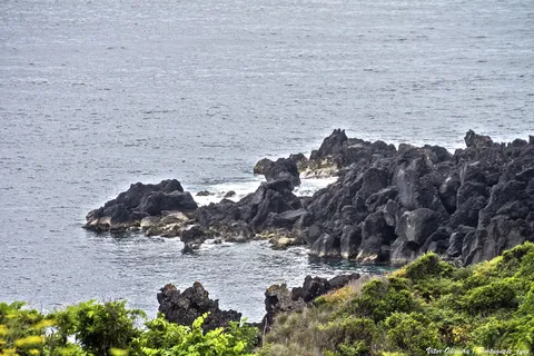 Black lava rocks along the coast at Calheta do Nesquim.