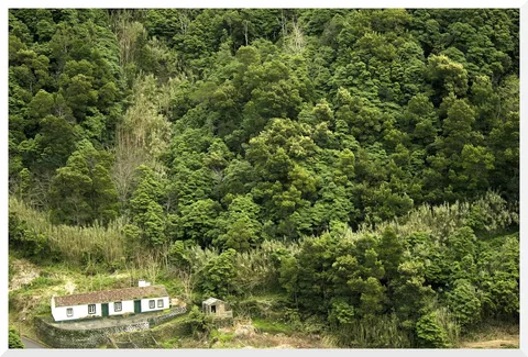 Um vale florestado sobre a aldeia do Faial da Terra.