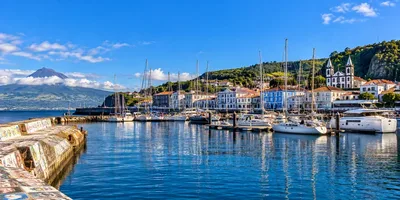 Horta's marina