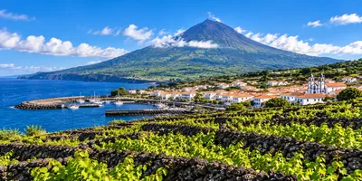 Madalena and its vineyards