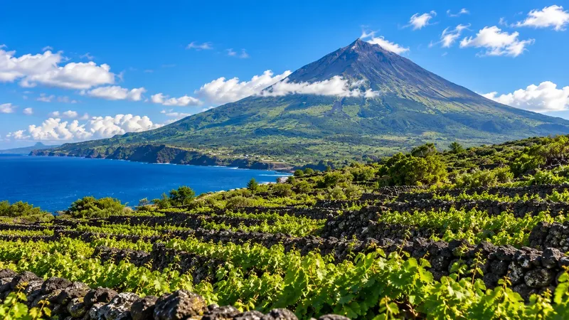 The cone of Mount Pico above the clouds