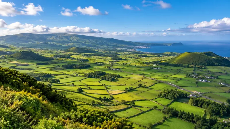 Stone-walled fields seen from Serra do Cume