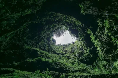 Representative volcanic Azores landscape
